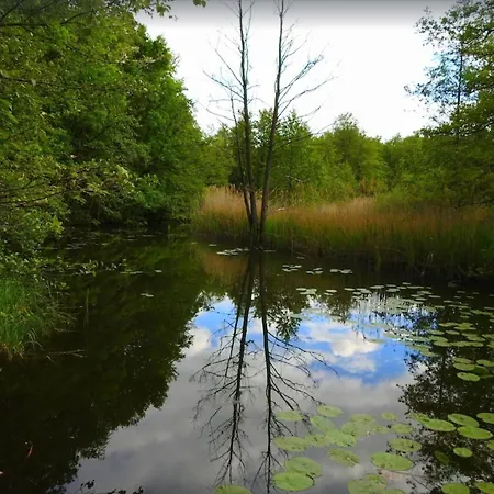 بيت للعطل Haus Hilde Zarrentin am Schaalsee
